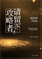 攻略者,请留下